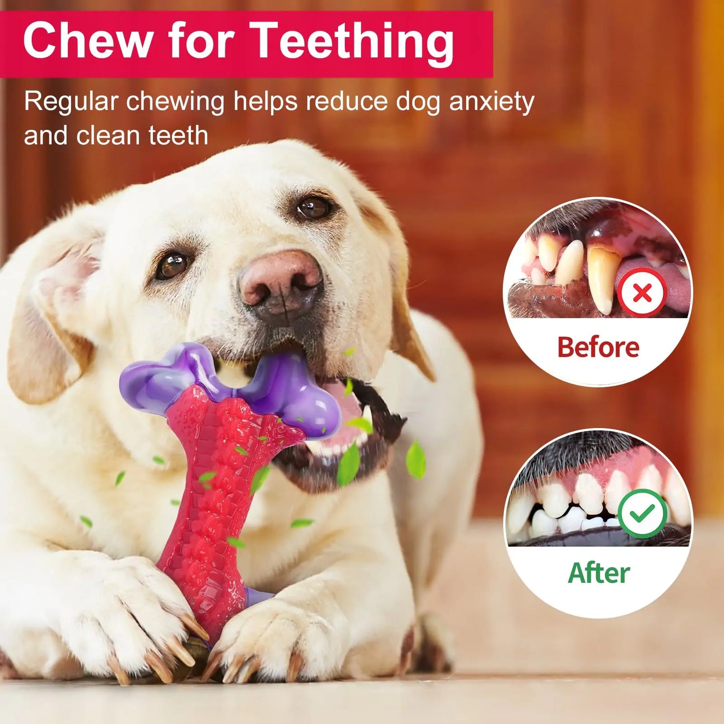 Durable Nylon Dog Bone Chew Toy for Large Aggressive Chewers - Interactive Exercise Toy in Purple and Red Design