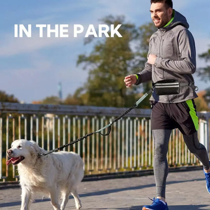 Professional Hands-Free Dog Leash with Pouch, Dual Leash for Two Dogs, Retractable Bungee Design with Dual Padded Handles, Ideal for Dog Walking and Running, Essential Dog Walking Accessories