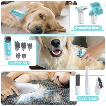 Professional 6-in-1 Dog Grooming Vacuum System - 11000PA High Suction with 1.5L Capacity | Effective 99% Hair Removal with Comprehensive Grooming Tools | Ideal for Professional Pet Grooming