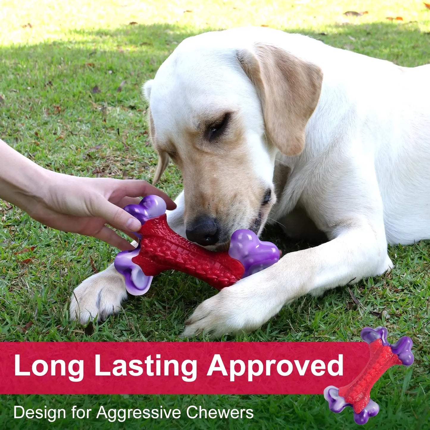 Durable Nylon Dog Bone Chew Toy for Large Aggressive Chewers - Interactive Exercise Toy in Purple and Red Design