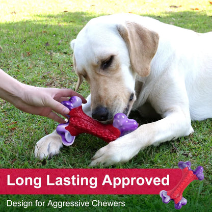 Durable Nylon Dog Bone Chew Toy for Large Aggressive Chewers - Interactive Exercise Toy in Purple and Red Design