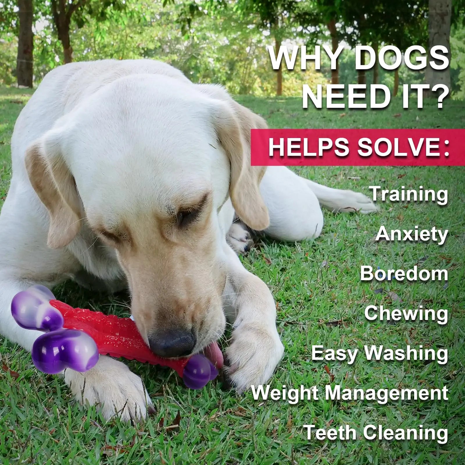 Durable Nylon Dog Bone Chew Toy for Large Aggressive Chewers - Interactive Exercise Toy in Purple and Red Design