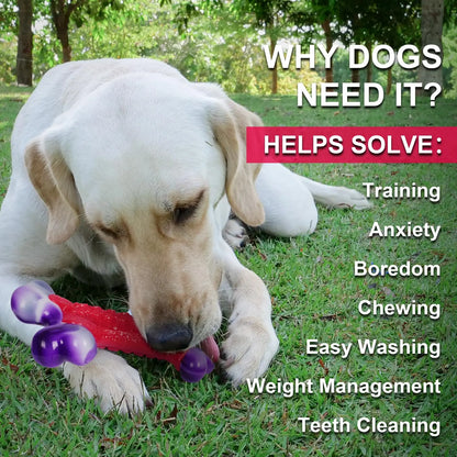 Durable Nylon Dog Bone Chew Toy for Large Aggressive Chewers - Interactive Exercise Toy in Purple and Red Design