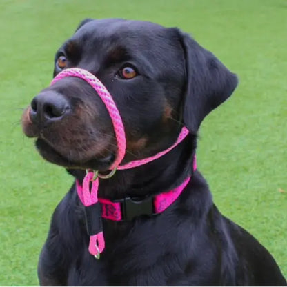 Good Walker Leash 3/8" x 5' - Dual-Function Dog Training Tool