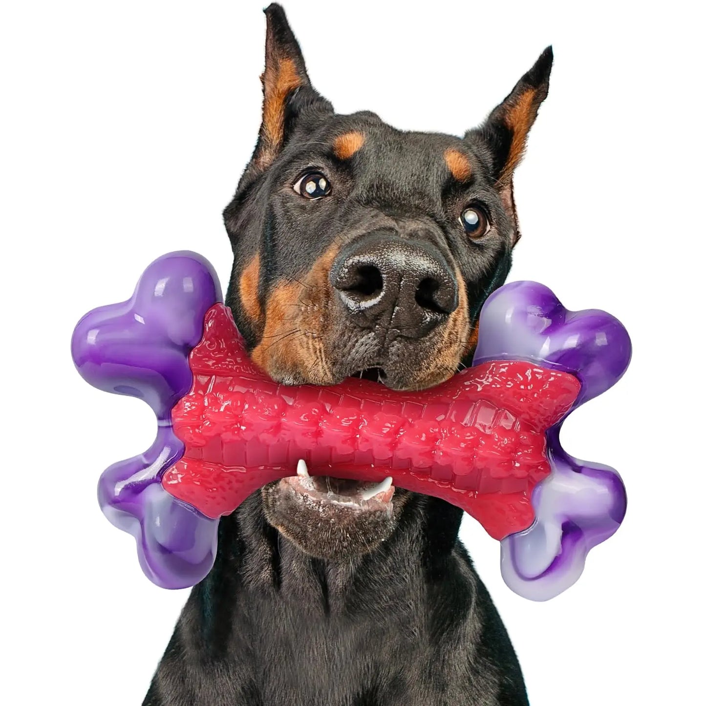 Durable Nylon Dog Bone Chew Toy for Large Aggressive Chewers - Interactive Exercise Toy in Purple and Red Design