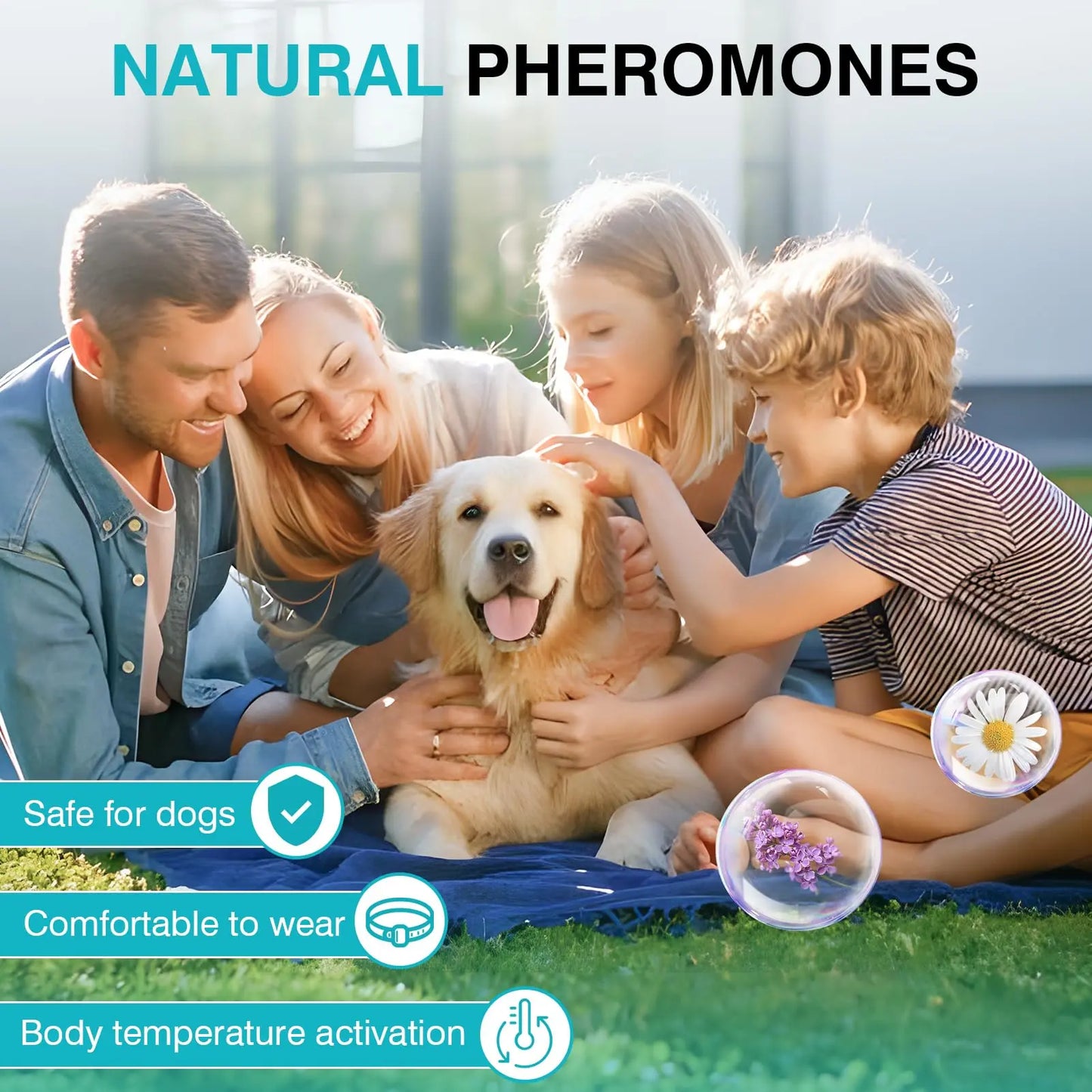 Pet Pulse Calming Collar for Dogs 6 Packs Dog Calming Pheromones Collar Separation Anxiety and Stress Relief anti Anxiety 60 Days Calm Pheromone Collars for Small Medium Large Dogs 25 Inch Adjustable Waterproof