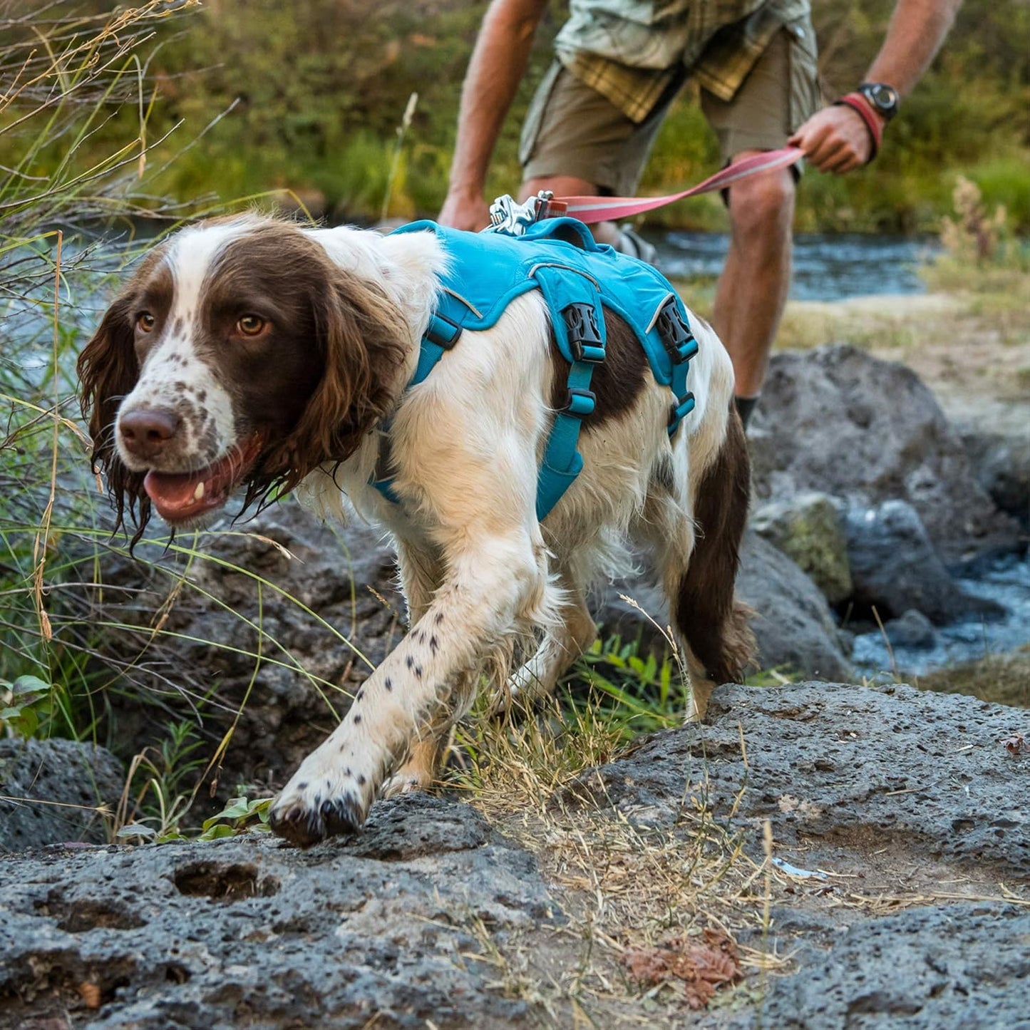 , Web Master, Multi-Use Support Dog Harness, Hiking and Trail Running, Service and Working, Everyday Wear, Red Currant, X-Small