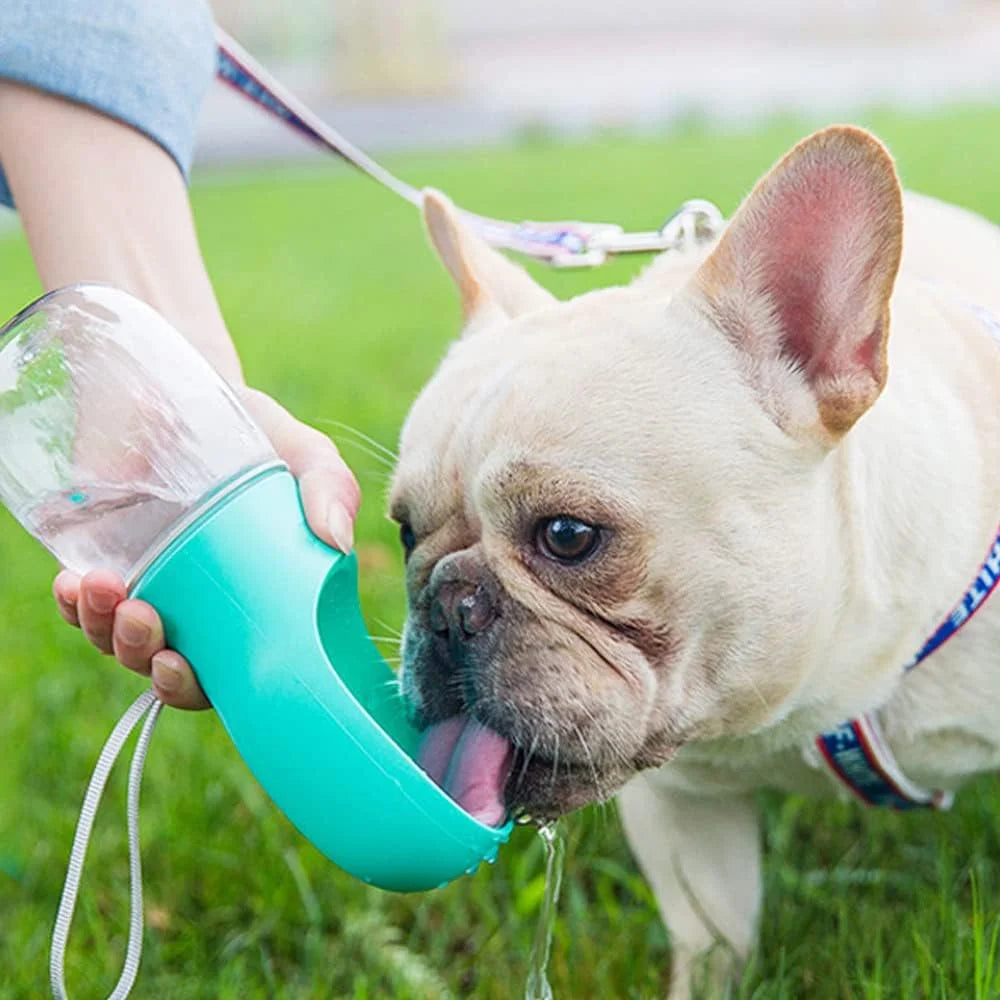 8.3 x 2.5-Inch Portable Dog Water Bottle, 12 oz Leak-Proof Water Dispenser with Feeder for Outdoor Activities, Food Grade Plastic - Blue