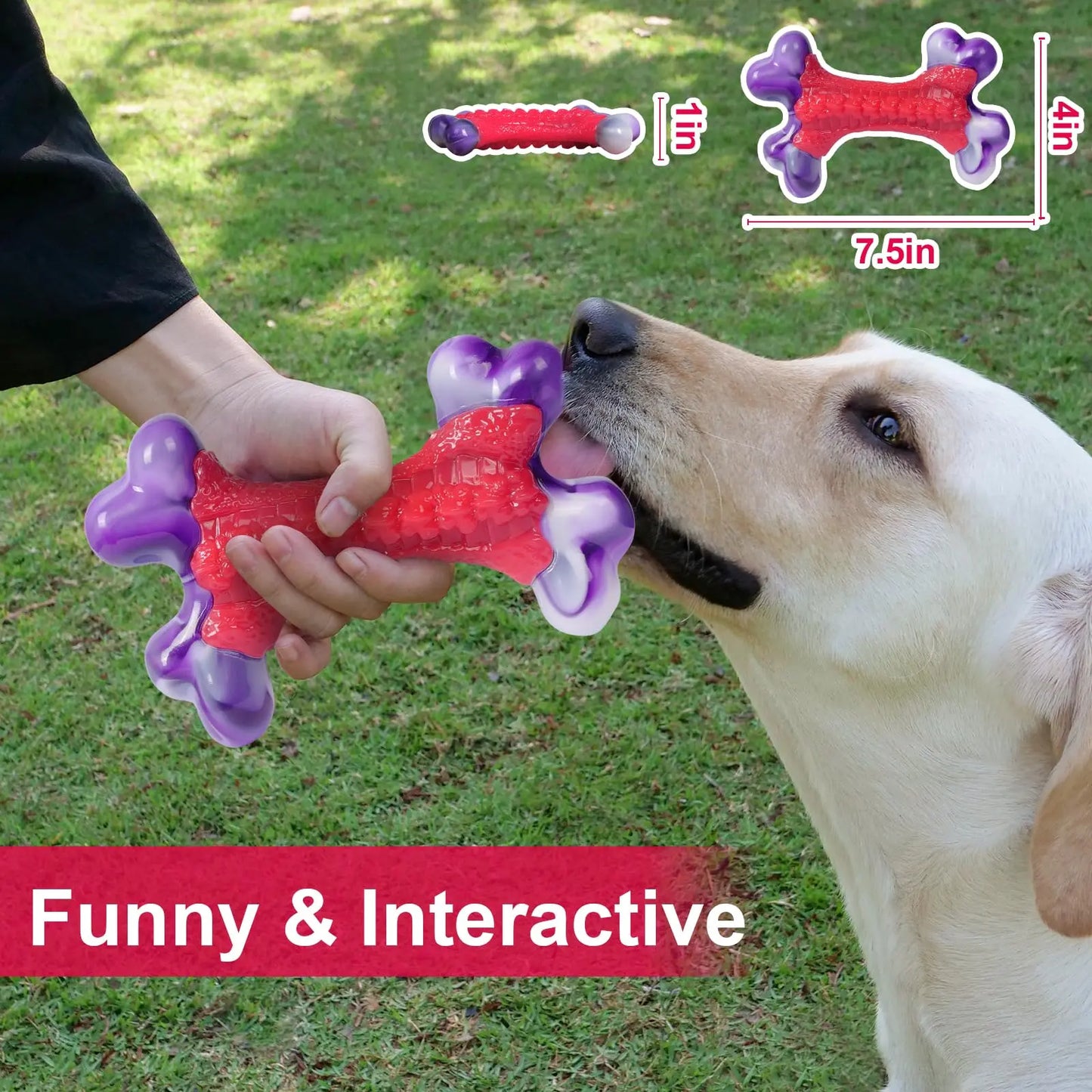 Durable Nylon Dog Bone Chew Toy for Large Aggressive Chewers - Interactive Exercise Toy in Purple and Red Design
