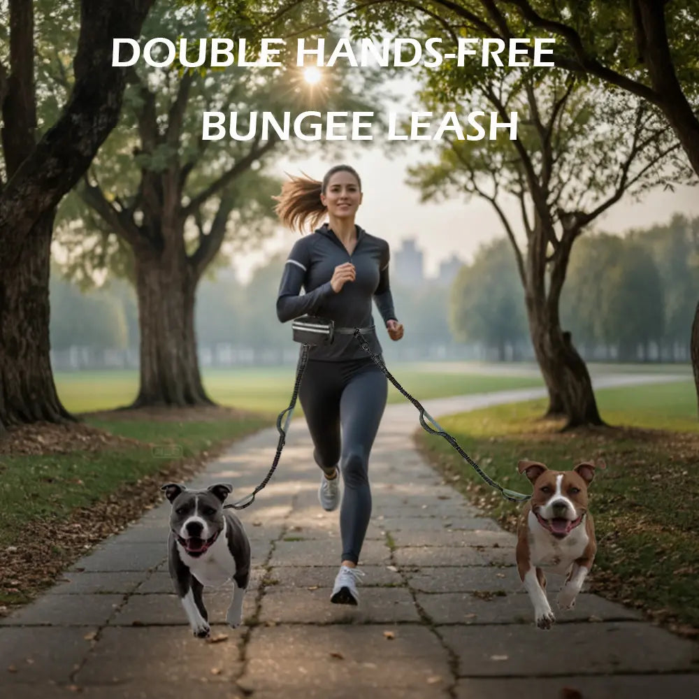 Professional Hands-Free Dog Leash with Pouch, Dual Leash for Two Dogs, Retractable Bungee Design with Dual Padded Handles, Ideal for Dog Walking and Running, Essential Dog Walking Accessories